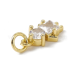 Brass Micro Pave Cubic Zirconia Charms&nbsp;ZIRC-F132-17G