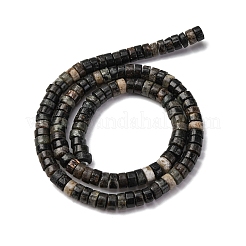 Natural Biotite Beads Strands&nbsp;G-L624-I12-3x6mm