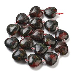 天然石ドラゴンブラッドビーズ連売り  ハート  シードビーズで  19~19.5x20x10mm  穴：1.5mm  約17個/連  15.75インチ（40cm）&nbsp;G-C150-A06-01