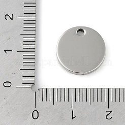 Non-Tarnish 304 Stainless Steel Charms&nbsp;STAS-L279-006P