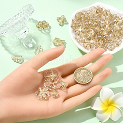 60g 6種類の金属エンレース透明アクリルビーズ  黄金メッキ  ミックスカラー  11.5~20.5x9~21x5~17mm  穴：1~3mm  10g /スタイル&nbsp;MACR-YW0003-43