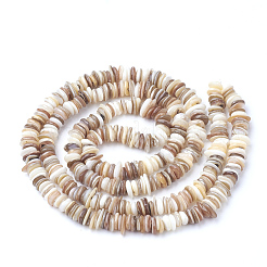 Natural Shell Beads Strands&nbsp;SSHEL-Q298-13