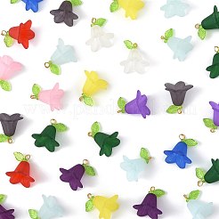 50Pcs Transparent Acrylic Pendants&nbsp;PALLOY-FS00043-05