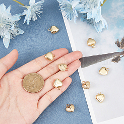 12Pcs 3 Style Brass Charms&nbsp;KK-CA0001-53G