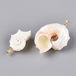 Iron & Natural Spiral Shell Pendants&nbsp;SHEL-Q029-15KCG