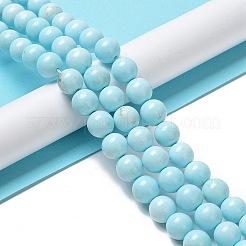 Natural Howlite Beads Strands&nbsp;G-E604-B02-C