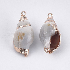 電気メッキ巻き貝ペンダント  鉄パーツ  ゴールドカラー  ゲインボロ  28.5~40x10~20x12.5~18mm  穴：1.2mm&nbsp;SSHEL-T009-11