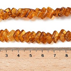 天然琥珀ビーズ連売り  菱形  チョコレート  6.5~7.5x6.5~7.5x2.5~3.5mm  穴：0.7mm  約75個/連  14.76''~14.96''（37.5~38センチメートル）&nbsp;G-K376-C03-01