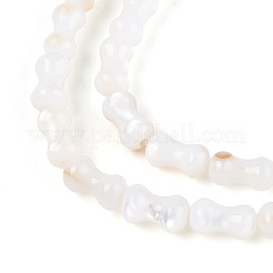 Natural Freshwater Shell Beads Strands&nbsp;SHEL-N038-01