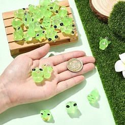 24Pcs 6 Styles Luminous Frog Resin Pendants&nbsp;RESI-YW0006-19