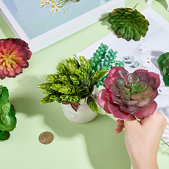 PVC Artificial Succulent Plant&nbsp;AJEW-SP0004-35A