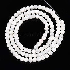 天然トロチッドシェル/トロカスシェルビーズ連売り  ナゲット  乳白色  3~4.5x2~5mm  穴：0.6mm  約101~110個/連  15.16~15.55インチ（38.5~39.5cm）&nbsp;SSHEL-N040-07