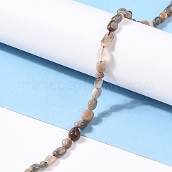 Natural Black Sunstone Beads Strands&nbsp;G-G018-03B