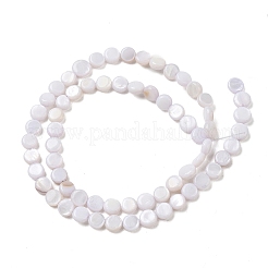 Natural Freshwater Shell Coin Beads Strands&nbsp;SH-CBACA76-17D