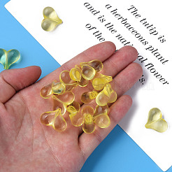 Transparent Acrylic Beads&nbsp;MACR-S373-70-B03