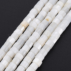 天然淡水シェルビーズ連売り  コラム  貝殻色  4x3mm  穴：0.8mm  約126~132個/連  14.57インチ〜15.75インチ（37~39.2cm）&nbsp;SHEL-N027-09