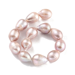 Natural Cultured Freshwater Pearl Beads Strands&nbsp;PEAR-P062-12D