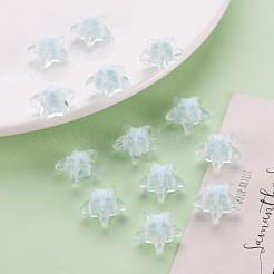 Transparent Acrylic Beads&nbsp;TACR-S152-11A-10