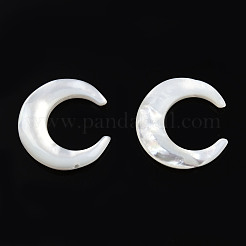 ナチュラル ホワイト シェル コネクタ チャーム  三日月  20x19x4mm  穴：1mm&nbsp;SSHEL-N034-159