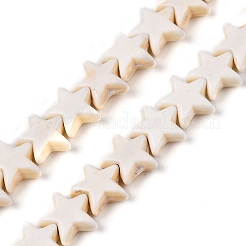 Synthetic Turquoise Beads Strands&nbsp;UNKW-T001-07