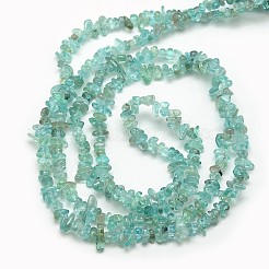 天然アパタイトチップビーズ連売り  3~5x3~5mm  穴：1mm  約32インチ&nbsp;X-G-L154-23
