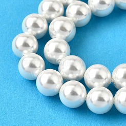 虹メッキシェルパールビーズ連売り  グレードA  ラウンド  古いレース  8mm  穴：1mm  約51個/連  16インチ&nbsp;X-BSHE-L025-02-8mm
