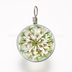 ガラスチャーム  乾燥した花と真鍮のパーツ  プラチナ  ラウンド  薄緑  30.5x19.5x17.5mm  穴：3x5mm&nbsp;GLAA-P030-01