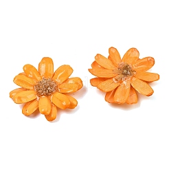 Epoxy Resin & Dried Flower Big Pendants&nbsp;RE-CBAAE94-01E