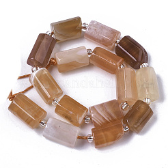Natural Botswana Agate Beads Strands&nbsp;G-N327-04-02-1