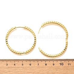 Rack Plating Brass Micro Pave Clear Cubic Zirconia Hoop Earrings for Women&nbsp;EJEW-C125-17B-G