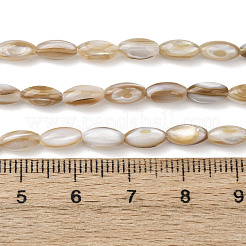 天然淡水シェルビーズ連売り  ライス  キャメル  7.5x5mm  穴：0.6mm  約50個/連  15.24''（38.7センチメートル）&nbsp;SHEL-K006-78A