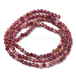 Natural Red Tourmaline Beads Strands&nbsp;X-G-A021-01D-01