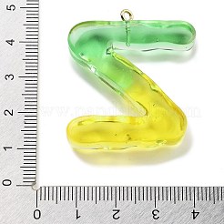 樹脂チャーム  鉄リング38x34.5x7mm付き  穴：2mm&nbsp;FIND-Q107-01Z-02
