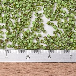 MIYUKI Delica Beads&nbsp;X-SEED-J020-DB2265
