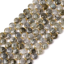 Natural Labradorite Beads Strands&nbsp;G-K389-B66-01