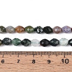Natural Indian Agate Beads Strands&nbsp;G-T142-83