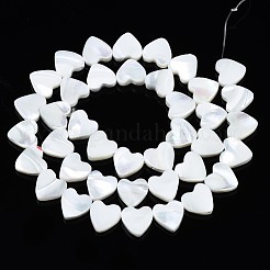 Natural Trochid Shell/Trochus Shell Beads Strands&nbsp;SSHEL-N034-98A-B01
