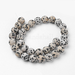 天然のダルメシアンジャスパービーズ連売り  ラウンド  艶消し  12~12.5mm  穴：2mm  約31~32個/連  14.9インチ（38cm）&nbsp;G-G735-68F-12mm