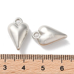 CCB Plastic Pendants&nbsp;CCB-C001-04P