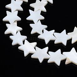 Natural Freshwater Shell Beads Strands&nbsp;SHEL-S278-01D-01