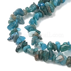 Natural Apatite Beads Strands&nbsp;G-G0003-B08-01