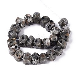 Natural Syenite Beads Strands&nbsp;G-N327-05-27