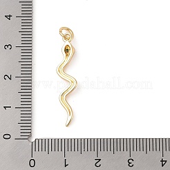 Brass Micro Pave Cubic Zirconia Pendants&nbsp;ZIRC-P121-03B-G