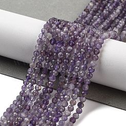 Natural Amethyst Beads Strands&nbsp;LS-G-G140-A04-01