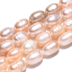 天然養殖淡水パールビーズ連売り  バロックケシパールライスビーズ  小麦  8~13x6.9~7.5mm  穴：0.7~0.8mm  約34~38個/連  13.78インチ（35cm）&nbsp;PEAR-N012-07M