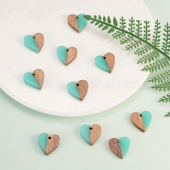Resin & Wood Pendants&nbsp;LS-RESI-CJC0001-19C