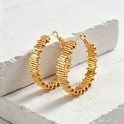 Brass Hoop Earrings for Women&nbsp;WG29896-01