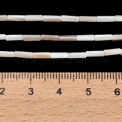 Natural Freshwater Shell Beads Strands&nbsp;SHEL-C010-02A