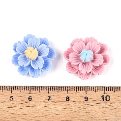 樹脂デコデンカボション  立体的な花  ミックスカラー  23.5~24.2x23.5~24.2x11~12mm&nbsp;CRES-T025-04M