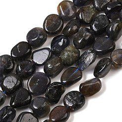 Natural Iolite/Cordierite/Dichroite Beads Strands&nbsp;G-A284-A02-03